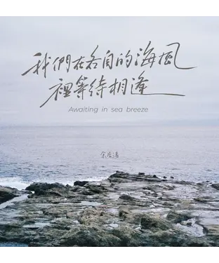 書封 我們在各自的海風裡等待相逢